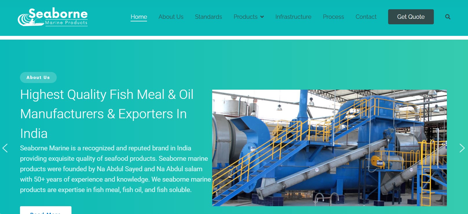Seaborne Marine Website Design